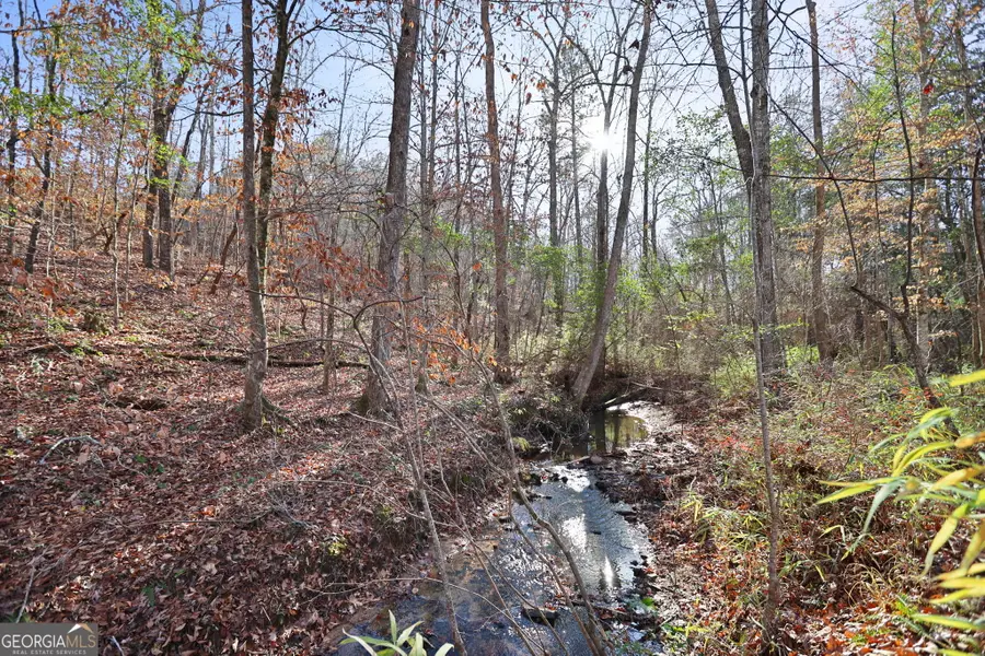 52.2 AC Franklin Parkway, Franklin, GA 30217 - #3