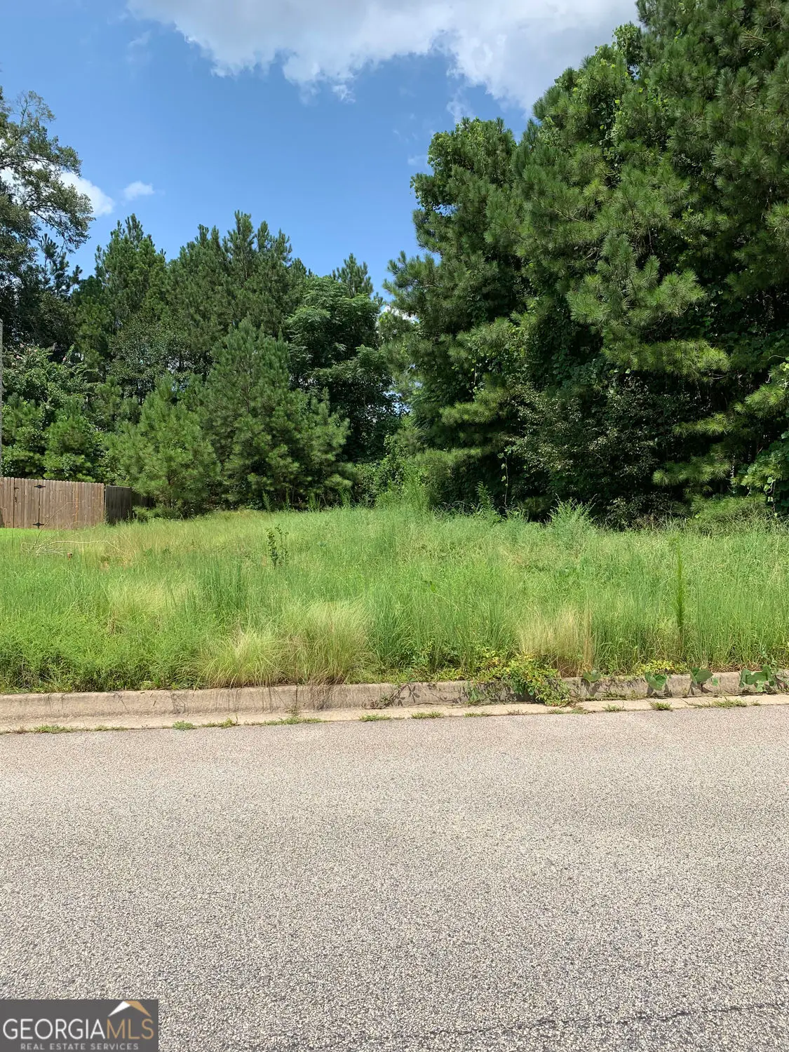 604 Tahoe Trail, Stockbridge, GA 30281 - #1