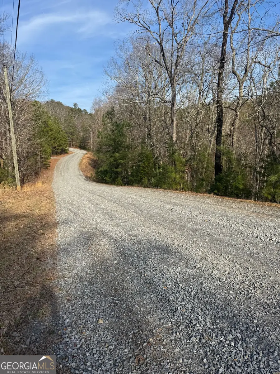 208 Lake Forest Drive, Ellijay, GA 30540 - #3