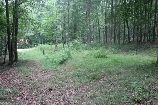 304 Mountain View Road, Lavonia, GA 30553