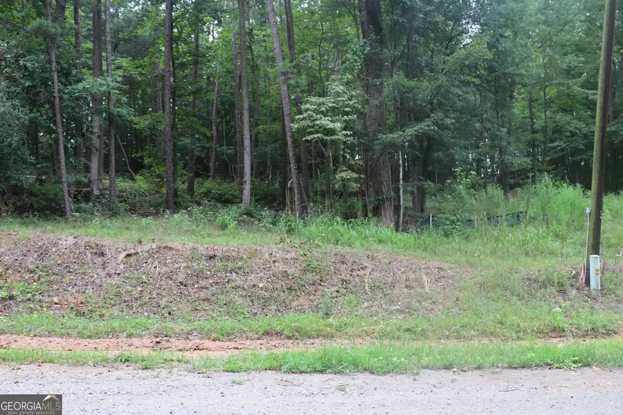 304 Mountain View Road, Lavonia, GA 30553 - #3