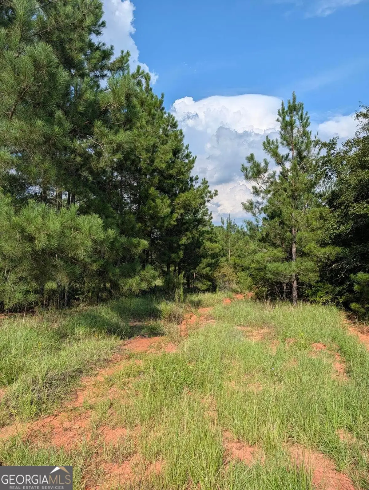 0 Nelson Lane, Louisville, GA 30434 - #1