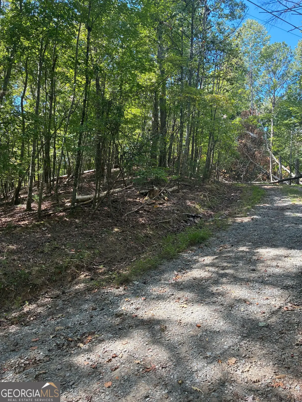 0 Miramar Drive, Ellijay, GA 30540 - #1