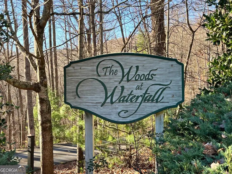LOT #2 Forest Canopy Way, Clayton, GA 30525 - #2