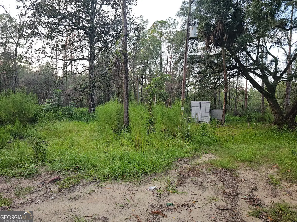 373 Carl Burney Road, Hortense, GA 31543 - #1