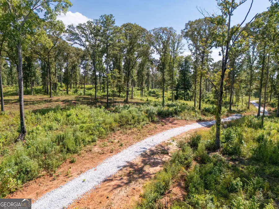 0 Hwy 100 #1 SADIE PLACE, Franklin, GA 30217 - #2