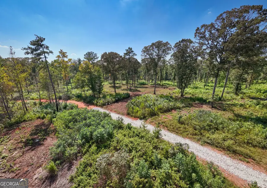 0 Hwy 100 #2 SADIE PLACE, Franklin, GA 30217 - #3