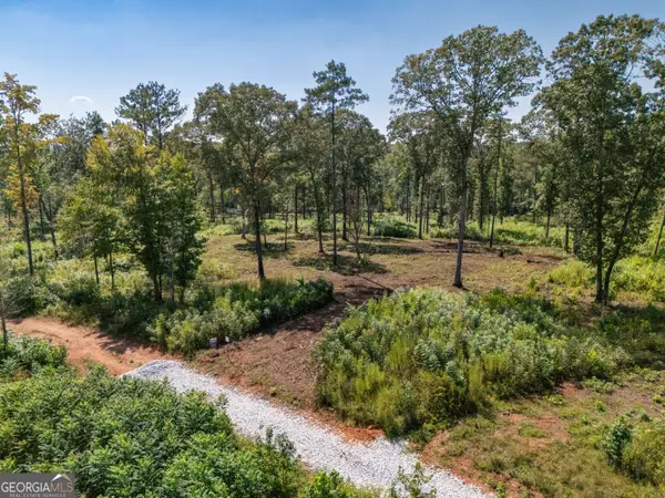 0 Hwy 100 #7 MACON LANE, Franklin, GA 30217