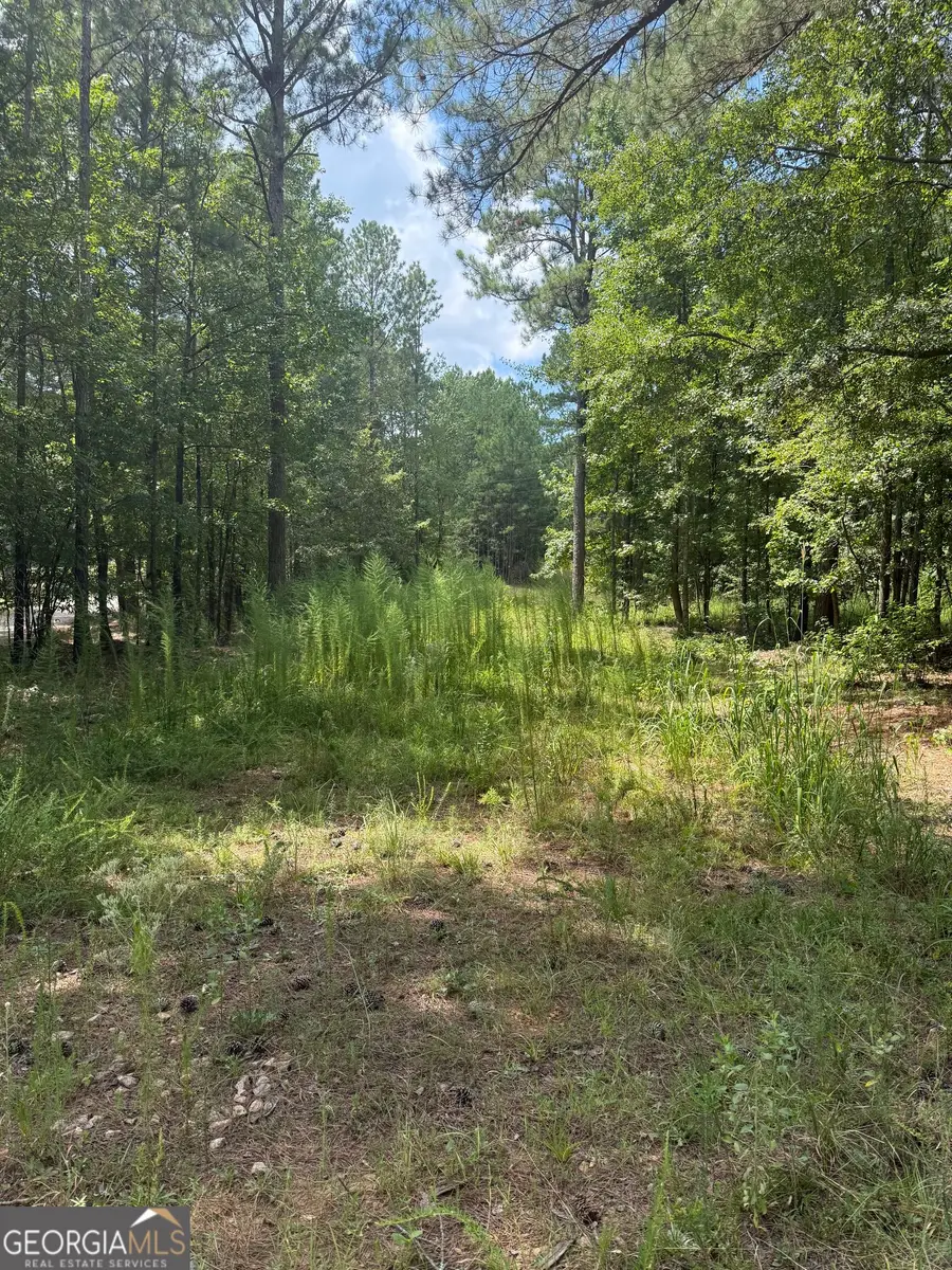 460 Yarbrough Mill Rd, Locust Grove, GA 30248 - #3