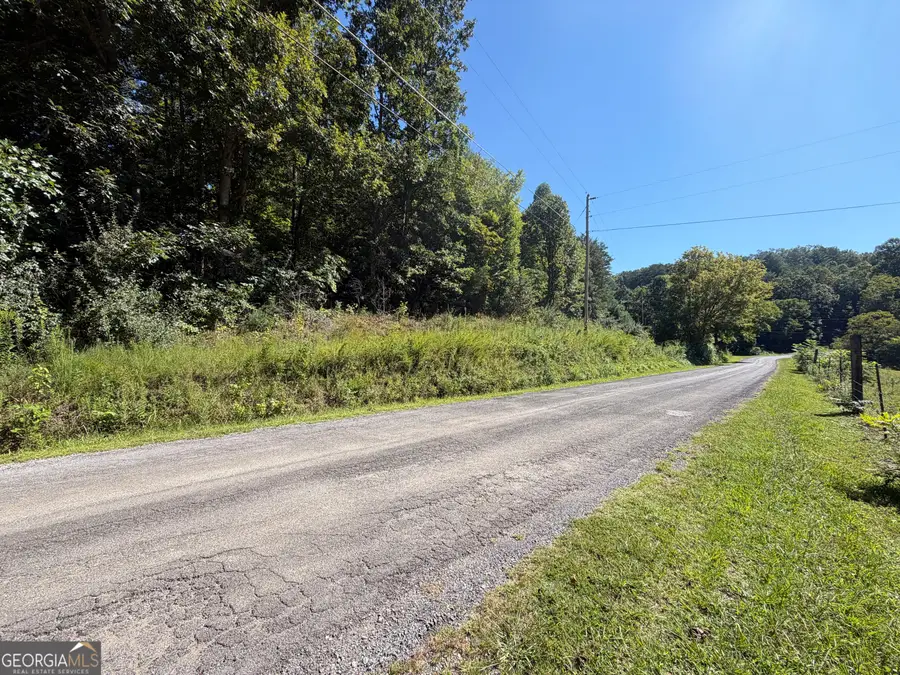 34.98 Hall Road, Turtletown, TN 37391 - #3