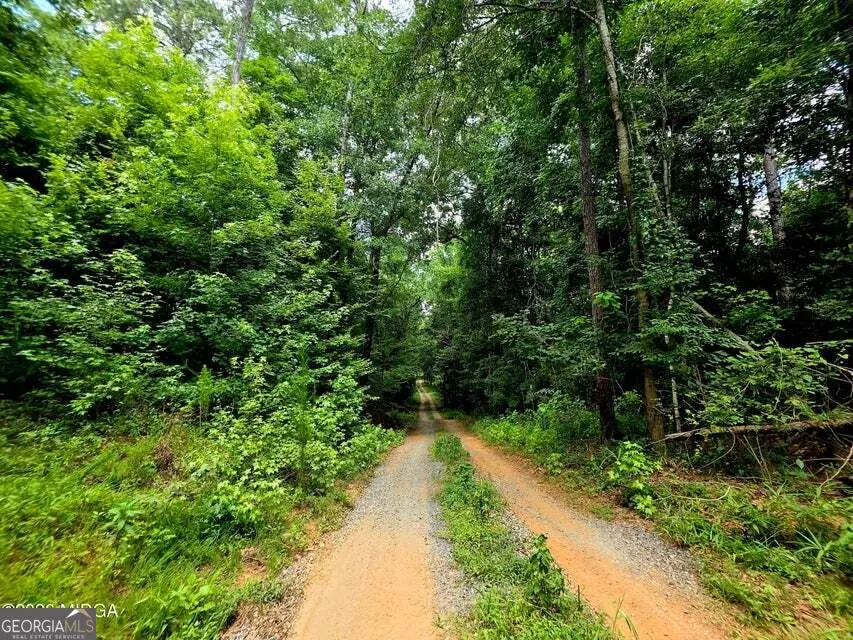 0 Highway 42 S, Forsyth, GA 31029 - #2