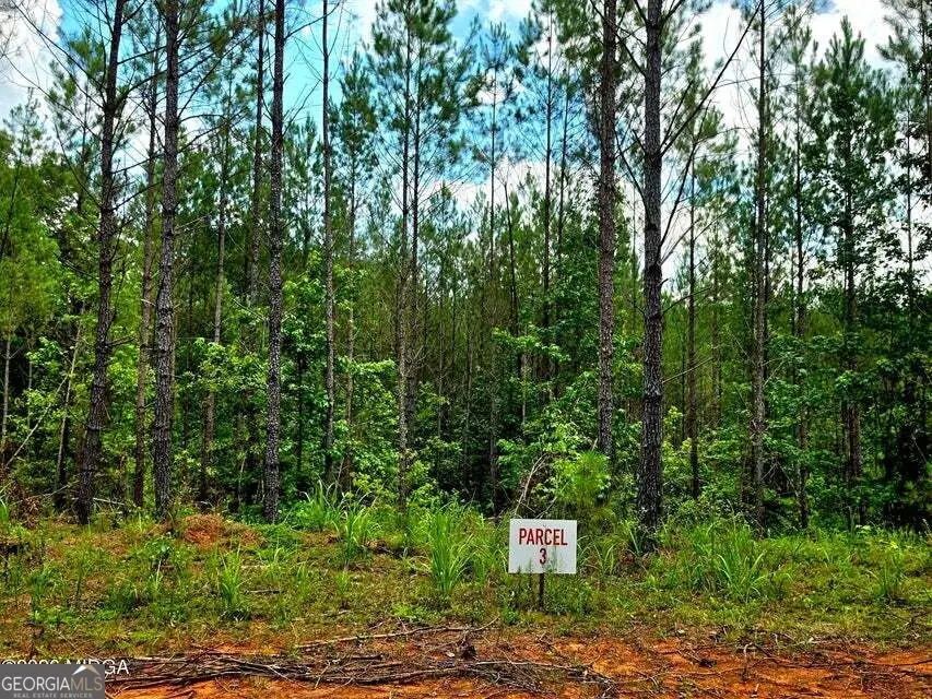 0 Highway 42 S, Forsyth, GA 31029 - #3