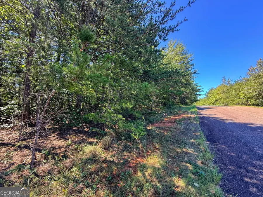 LOT 21 Sunshine Ridge Dr, Toccoa, GA 30577 - #3