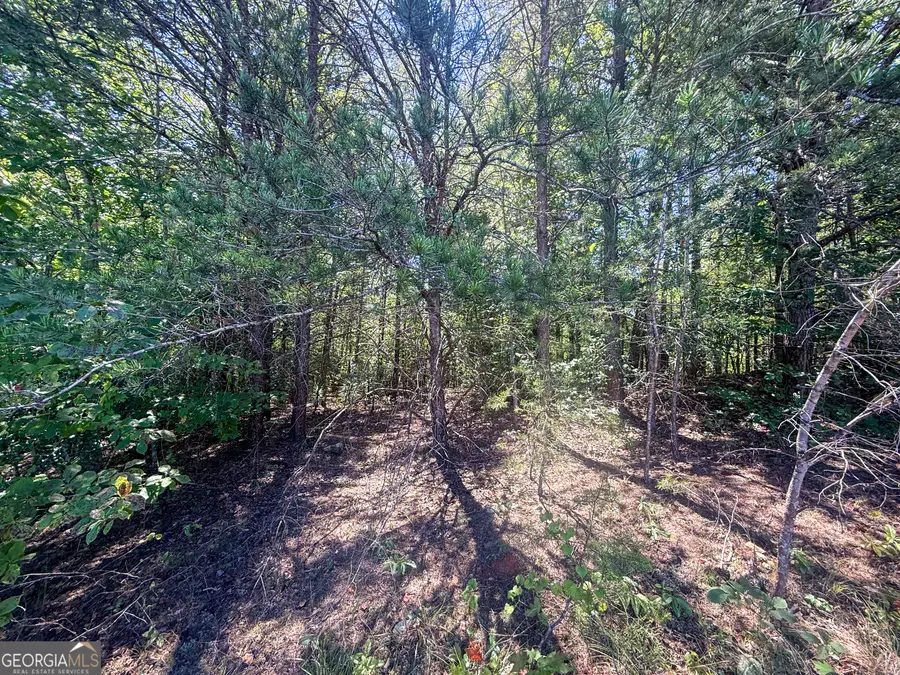 TRACT 1 Sunshine Ridge Dr, Toccoa, GA 30577 - #2