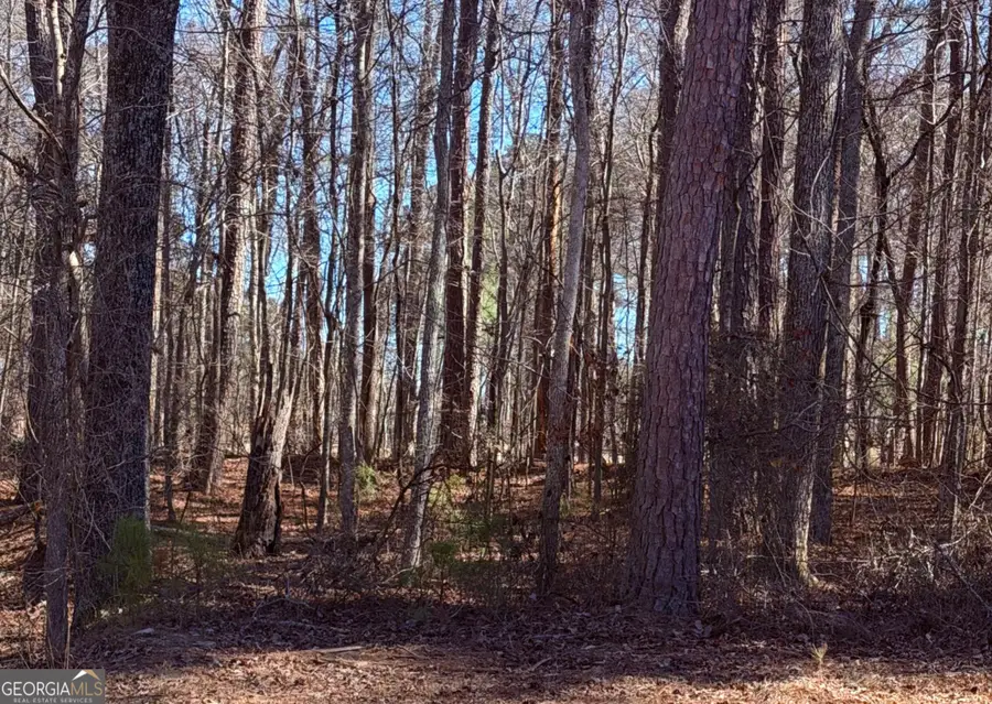 3297 Lakeview Parkway, Villa Rica, GA 30180 - #2