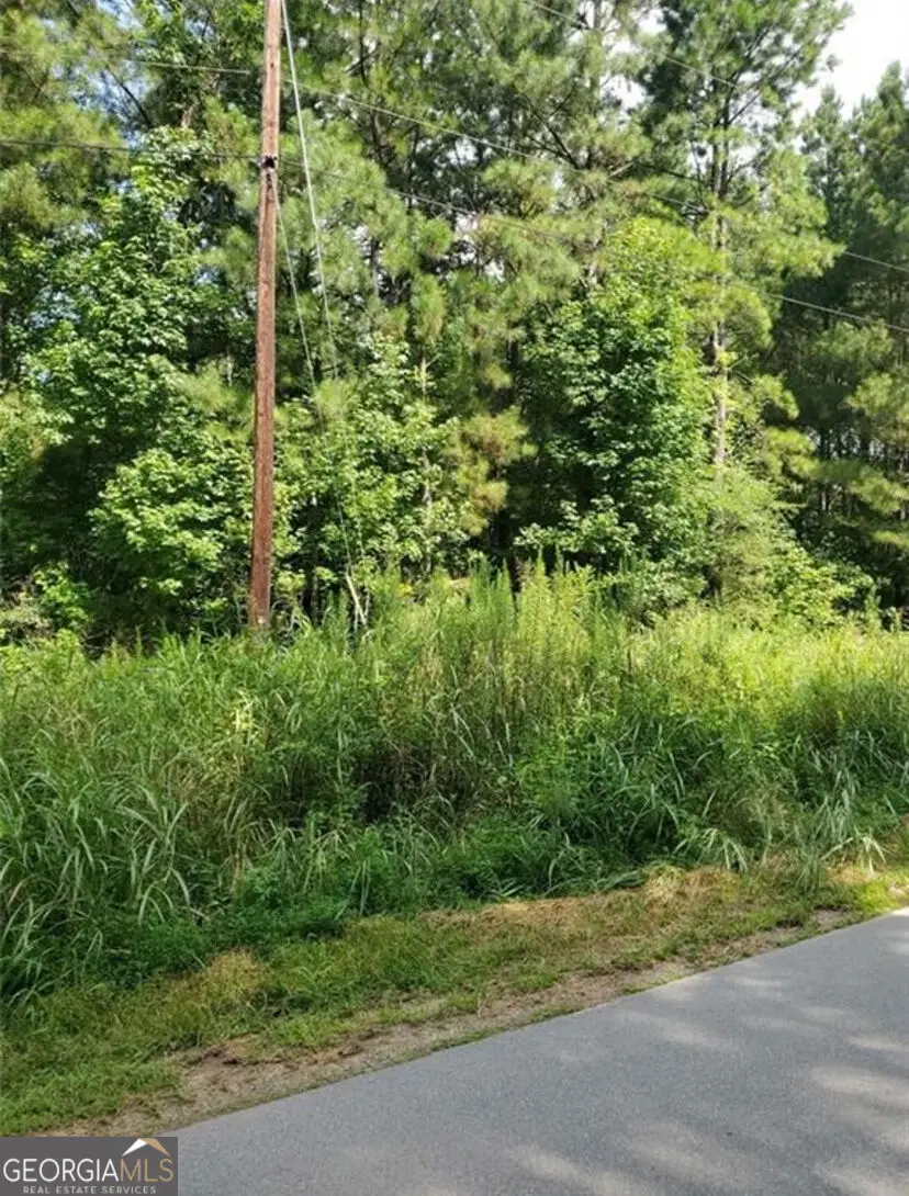0 Dean Road, Aragon, GA 30104 - #2