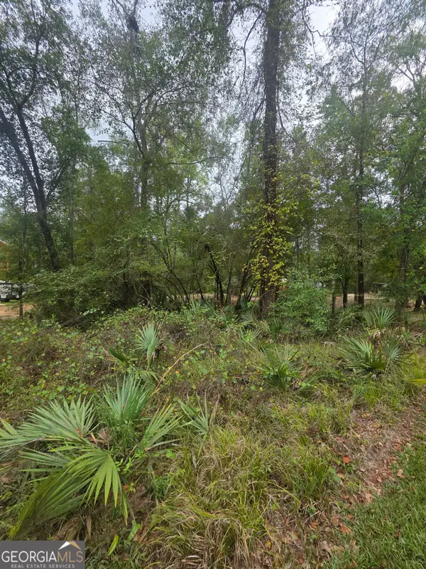 0 Morris Landing Road, Baxley, GA 31513