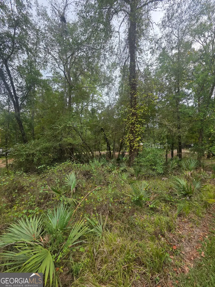 0 Morris Landing Road, Baxley, GA 31513 - #2