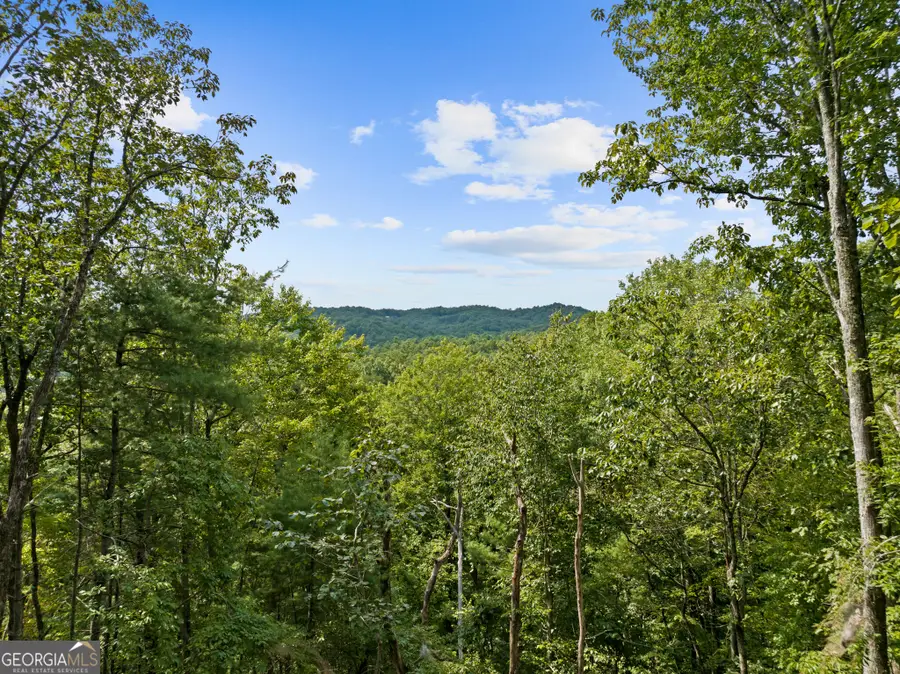 21 Mountain View Trail #3,4, Cherry Log, GA 30522 - #3