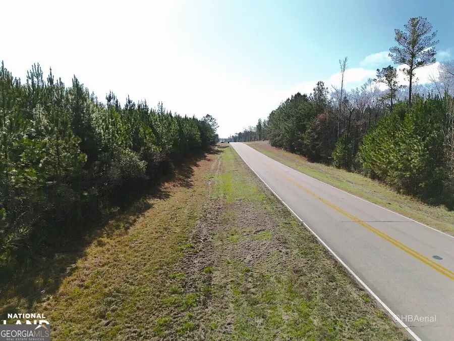 0 Highway 231 #TRACT A, Grady, AL 36036 - #3