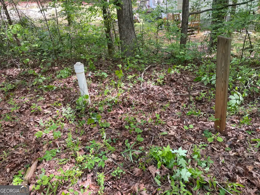225 White Birch Drive, Covington, GA 30016 - #2
