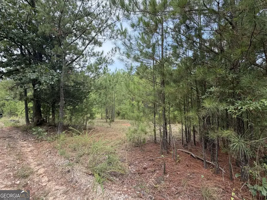 0 Smith Mill Road, Monticello, GA 31064 - #2