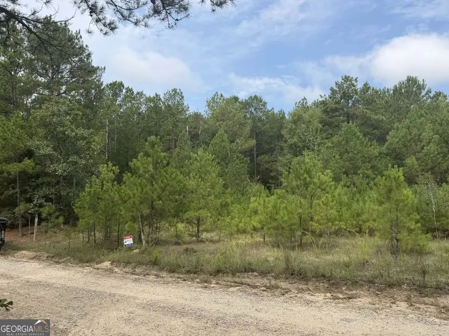 0 Smith Mill Road, Monticello, GA 31064 - #3