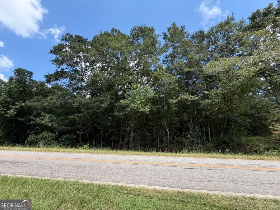 0 Caney Head Road, Roopville, GA 30170 - #2