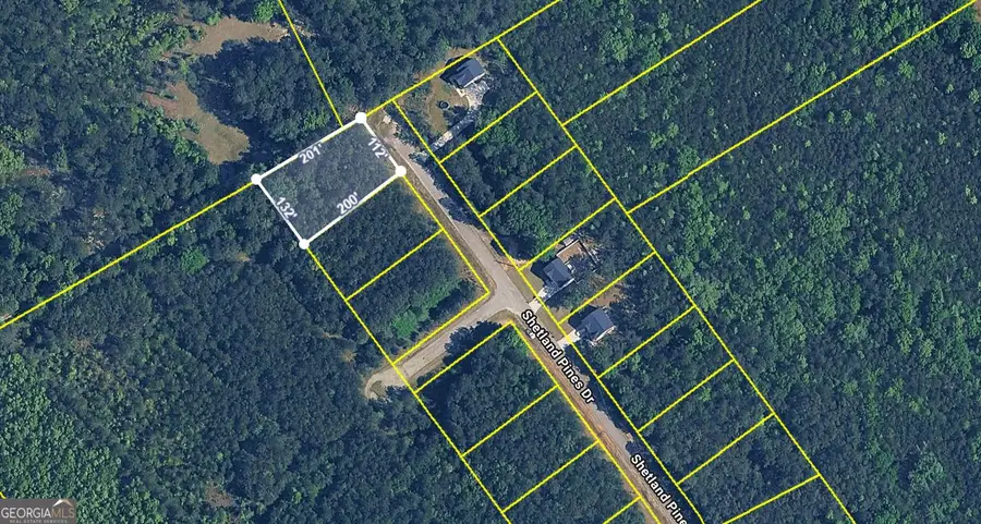 172 Shetland Pines Drive, Macon, GA 31216 - #2