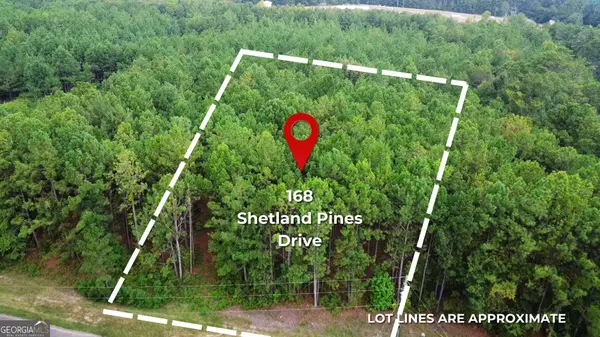 168 Shetland Pines Drive, Macon, GA 31216