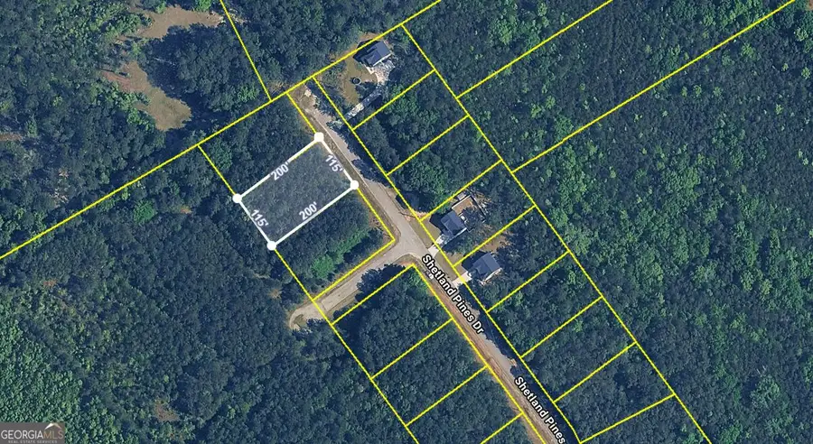 168 Shetland Pines Drive, Macon, GA 31216 - #2