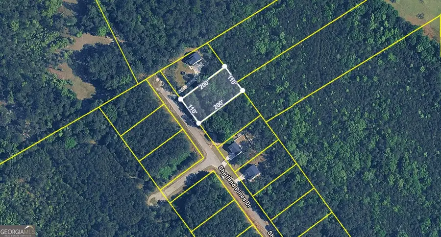 167 Shetland Pines Drive, Macon, GA 31216 - #2