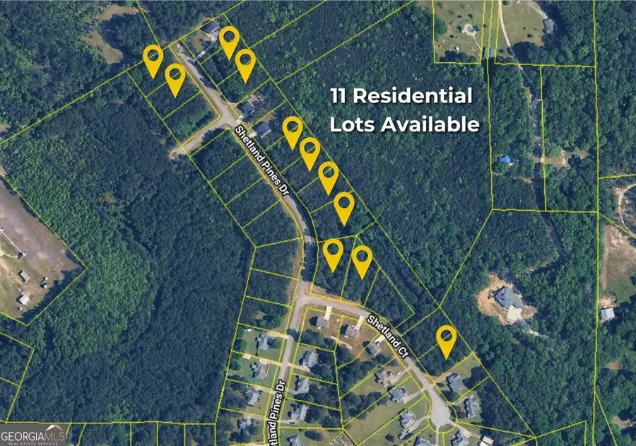 167 Shetland Pines Drive, Macon, GA 31216 - #3