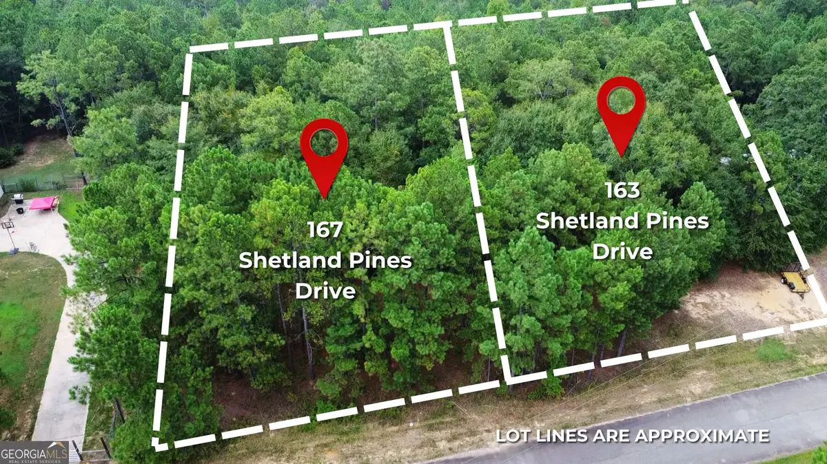 163 Shetland Pines Drive, Macon, GA 31216 - #1