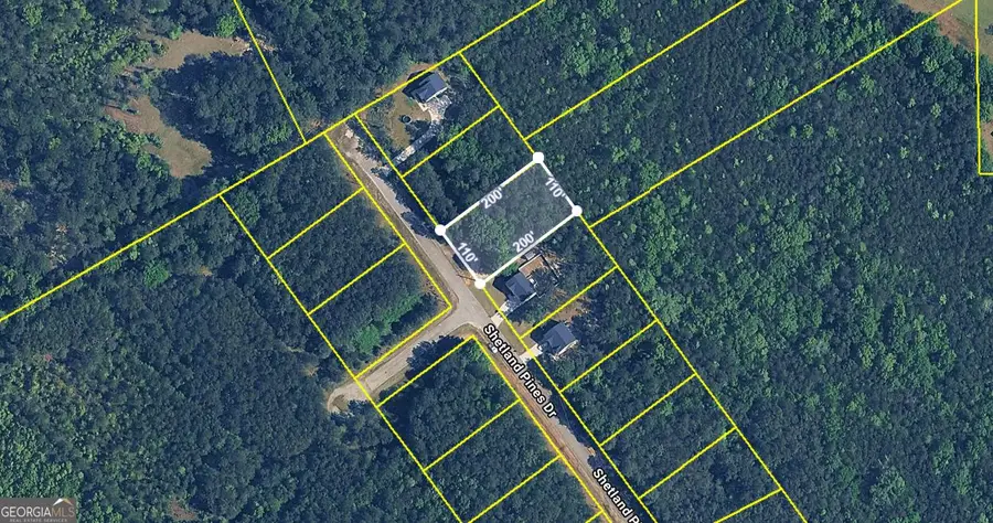 163 Shetland Pines Drive, Macon, GA 31216 - #2