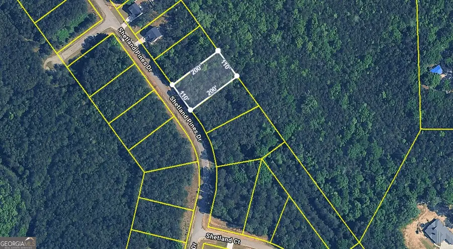 147 Shetland Pines Drive, Macon, GA 31216 - #2
