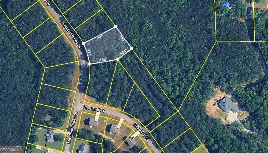 139 Shetland Pines Drive, Macon, GA 31216 - #2