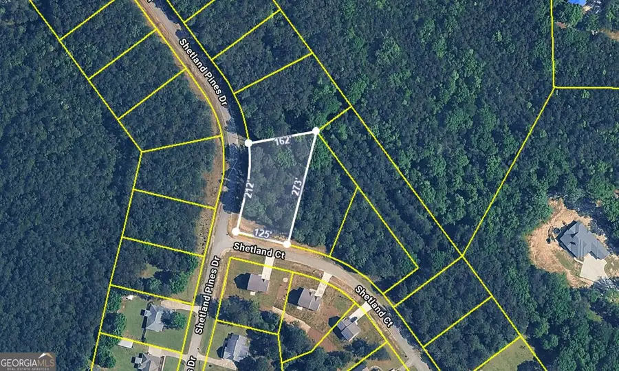 135 Shetland Pines Drive, Macon, GA 31216 - #2