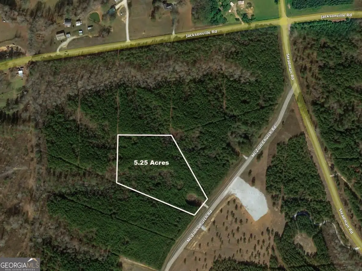 0 Mt. Zion Church Road, Tallapoosa, GA 30176 - #1