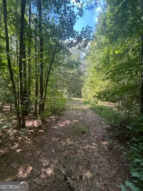 0 Sewell Road, Mansfield, GA 30055 - #2