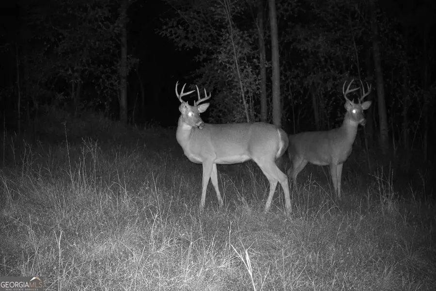 21 ACRES Cochran Road, Madison, GA 30650 - #2