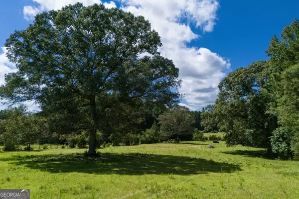 0 Hines Road, Hogansville, GA 30230