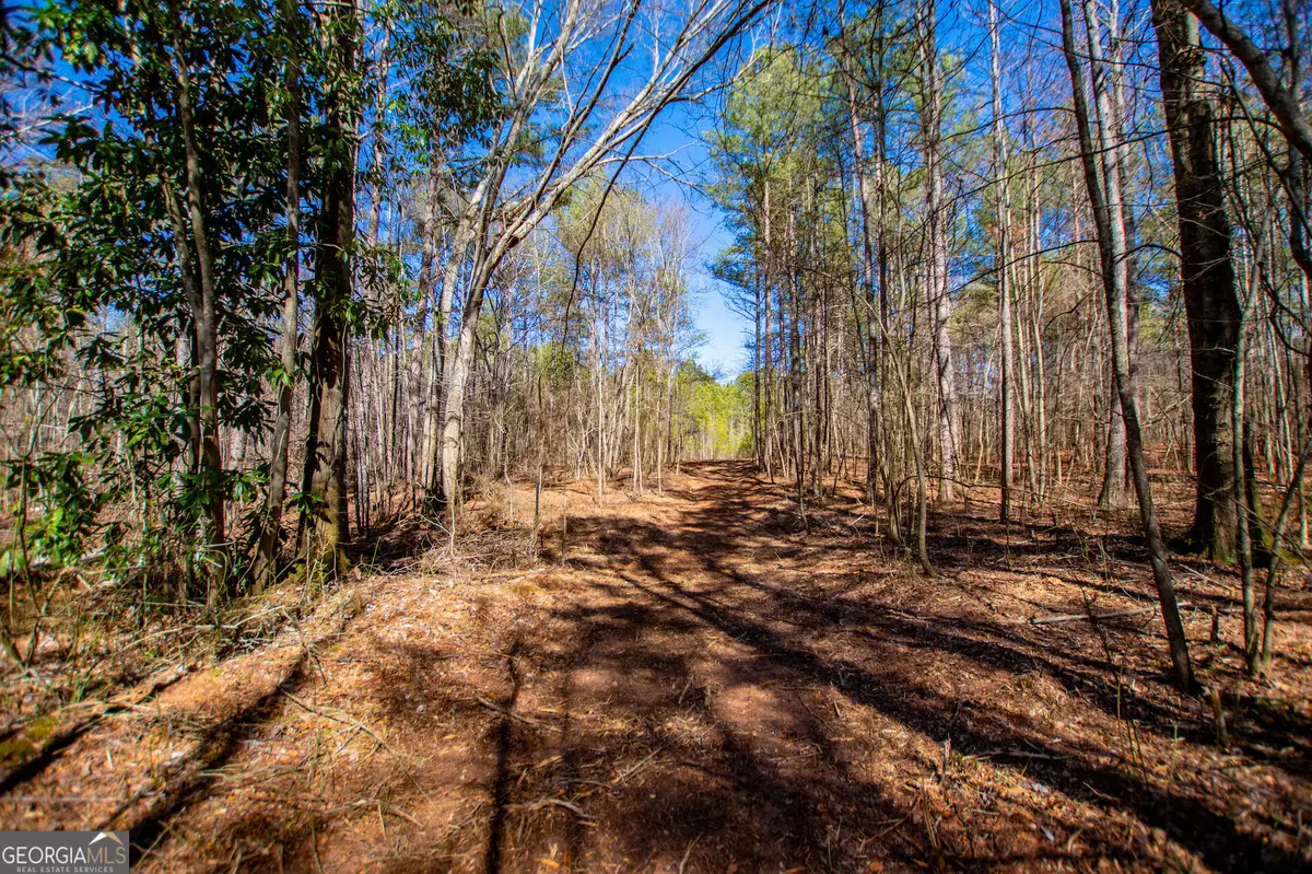 0 Hwy 166 E - 21+ Acres E, Bowdon, GA 30108 - #1