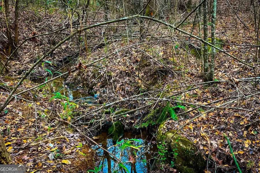 0 Hwy 166 E - 21+ Acres E, Bowdon, GA 30108 - #2