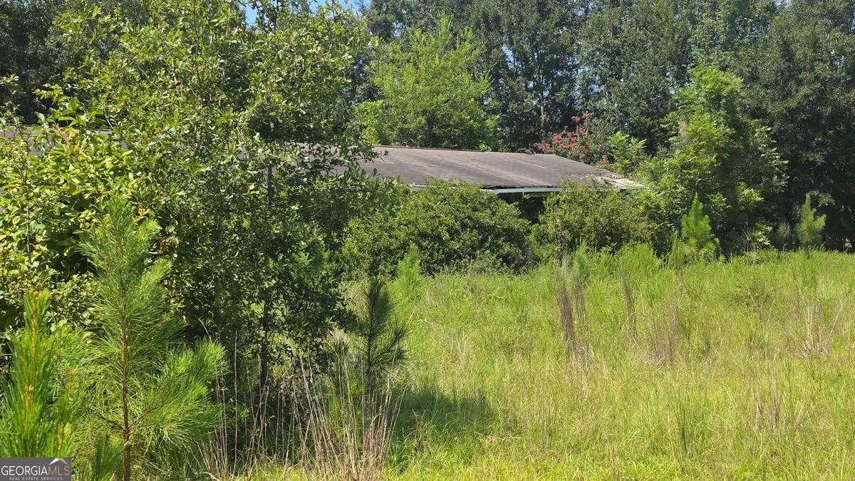 159 Grimsley Road, Colquitt, GA 39837 - #1