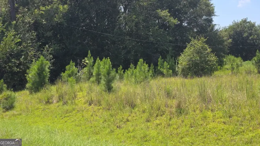 159 Grimsley Road, Colquitt, GA 39837 - #3