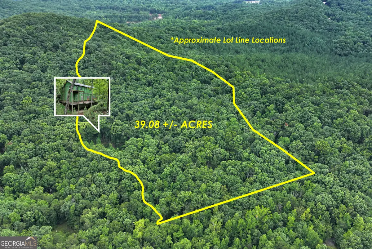 455 Carr Road, Clarkesville, GA 30523 - #1