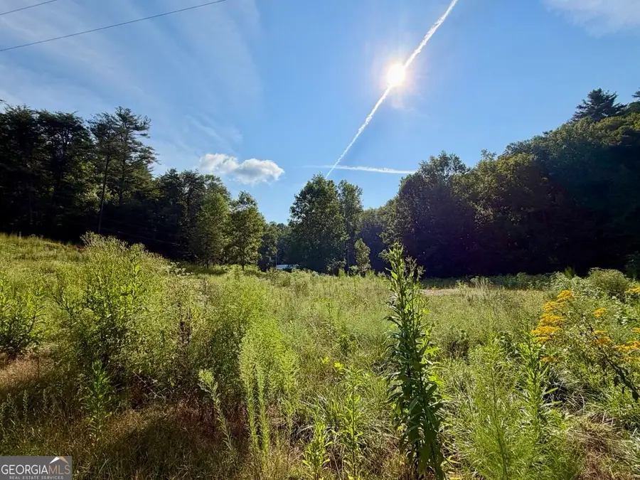 1657 Nimblewill Gap Road, Dahlonega, GA 30533 - #3