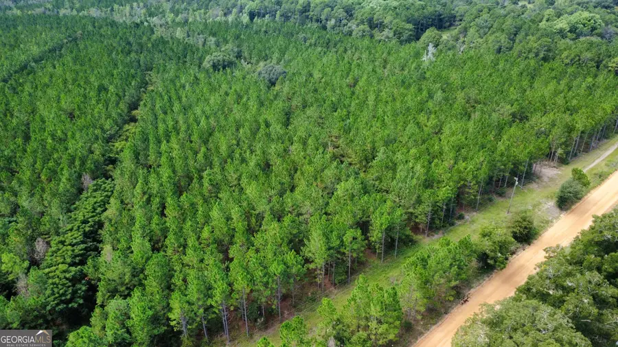 TRACT 2 A L Reeves Road, Fitzgerald, GA 31750 - #3