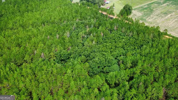 TRACT 3 A L Reeves Road, Fitzgerald, GA 31750